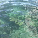 Διαμέρισμα Salema *