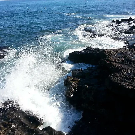 Salema